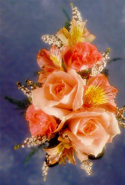 Three Rose and Carnation Corsage