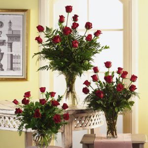 Variety of Roses