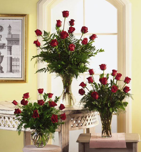 Variety of Roses